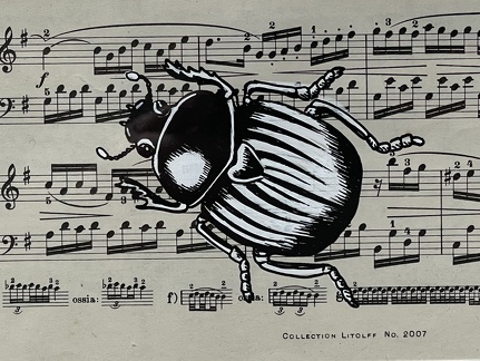 scarabée  partition