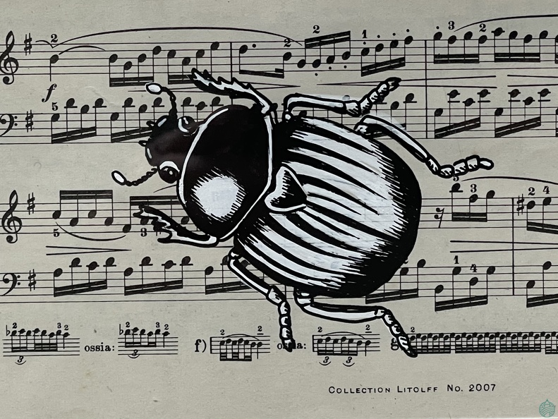 scarabée  partition